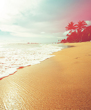Waves lap a tropical shoreline.