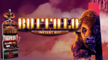 Buffalo Instant Hit