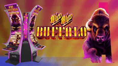 Wild Wild Buffalo