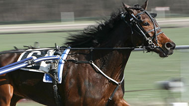Horsemen Mobile