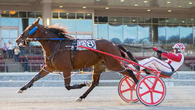 Standardbred horse racing