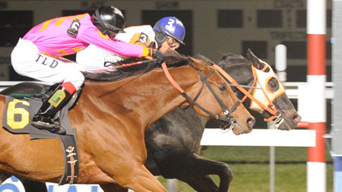 photo finish