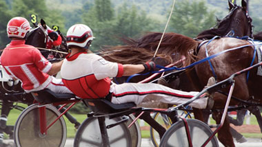 harness racing
